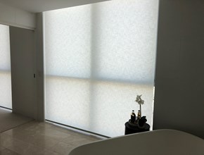 Light Filter Roller Blind 